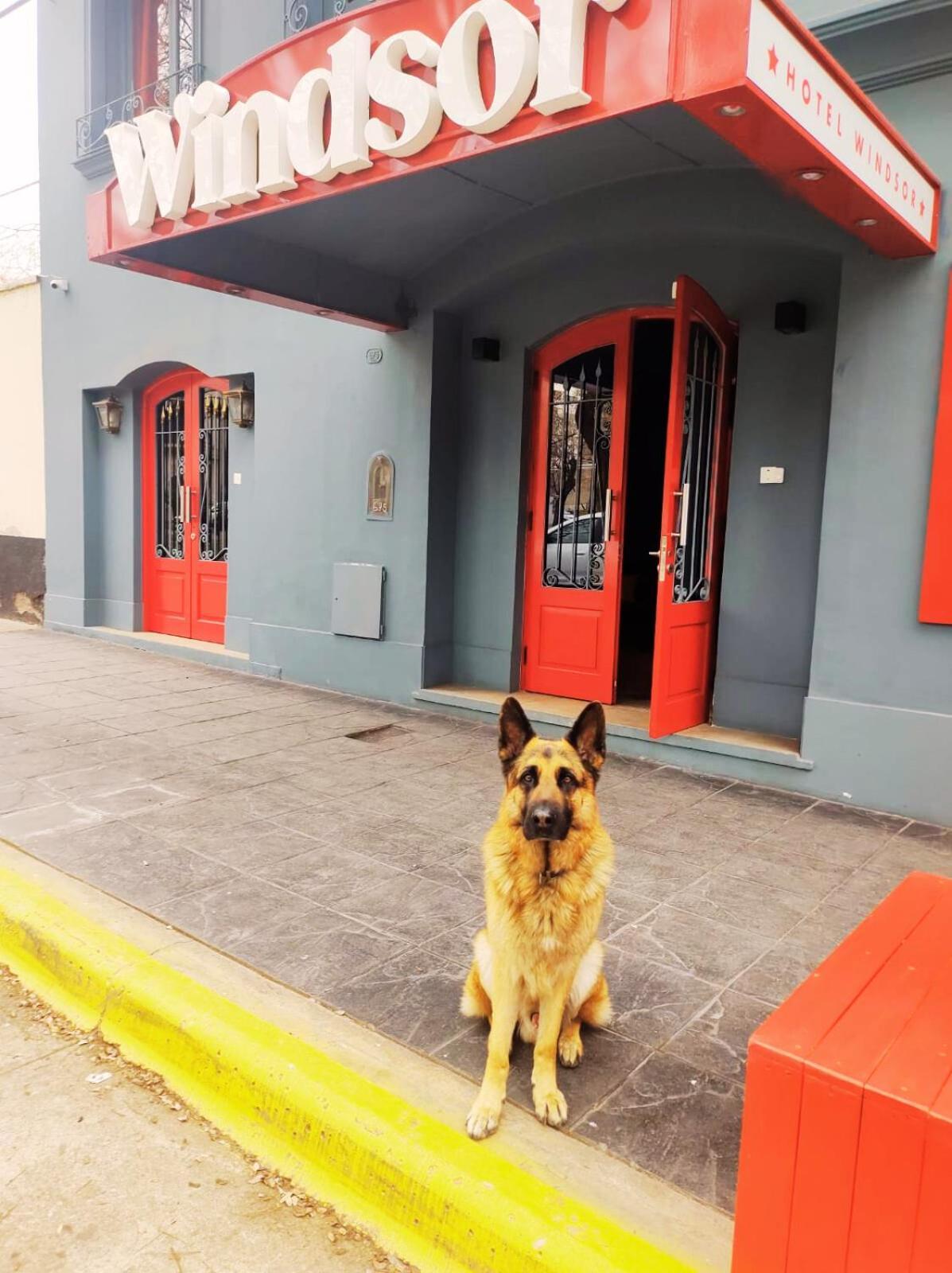 Hotel Windsor Mendoza Buitenkant foto